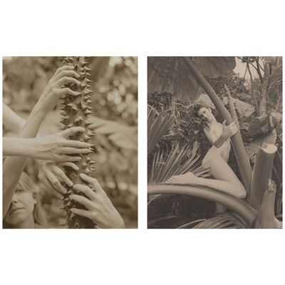 Lot 99 - JOHNSON, JENNIFER Two works. Comprising Four...