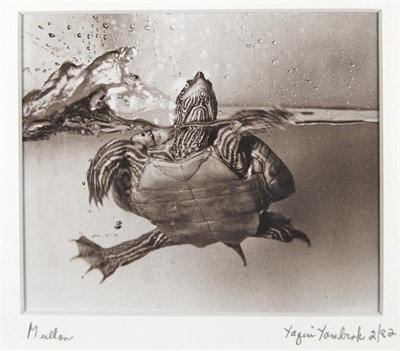 Lot 182 - YAMDROK, YACQUI (1932-2015) Mullan. Gelatin...