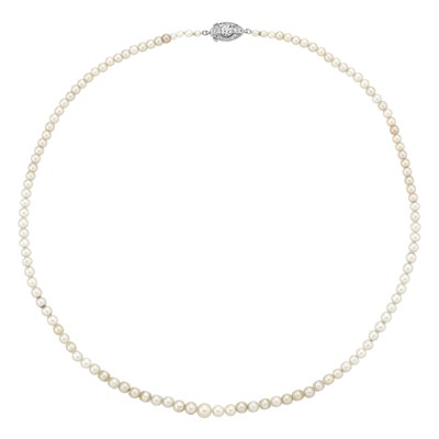 Lot 315 - Pearl Necklace with Platinum and Diamond Clasp