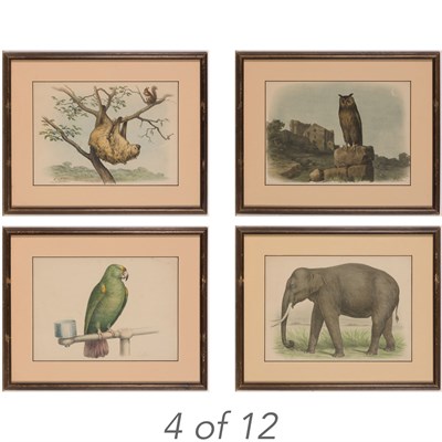 Lot 60 - Artist Unknown [ANIMALS IN LANDSCAPES] Twelve...