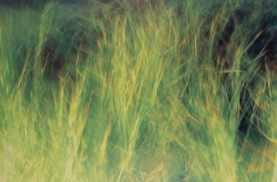 Lot 19 - Contemporary School Grassy Field Signed and...