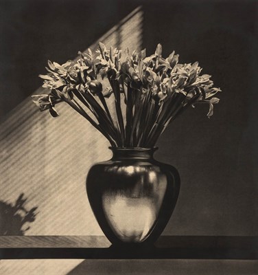 Lot 103 - MAPPLETHORPE, ROBERT (1946-1989) Irises, 1987....