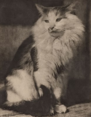Lot 71 - EUGENE, FRANK [but now reattributed to HERTH,...