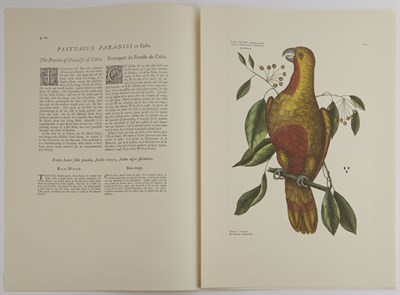 Lot 42 - CATESBY, MARK and FRICK, GEORGE and EWAN,...