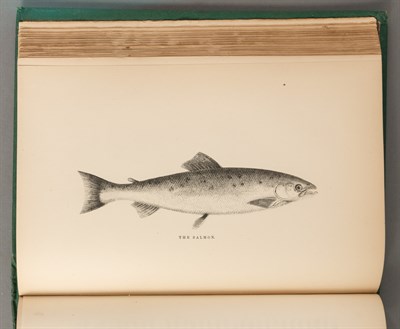 Lot 215 - NORRIS, THADDEUS The American Angler's Book:...