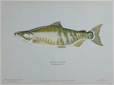 Lot 265 - SCHWIEBERT, ERNEST Salmon Of The World. [New...