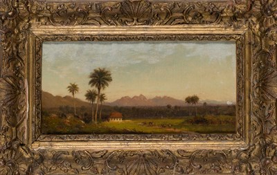 Lot 49 - John Laporte English, 1761-1839 Tropical...