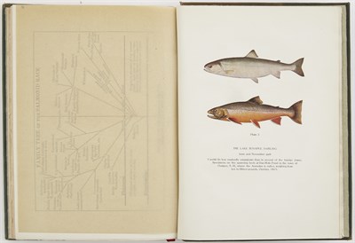 Lot 235 - QUACKENBOS, JOHN D.[UNCAN] Geological...
