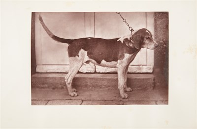Lot 44 - CHABOT, AUGUSTE J. F., COMTE DE La chasse du...
