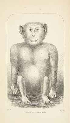 Lot 141 - LIVINGSTONE, DAVID The Last Journals of David...