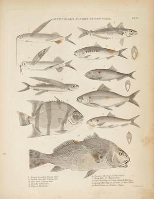 Lot 207 - [NEW YORK] [MITCHILL, SAMUEL L. & CLINTON, DE...