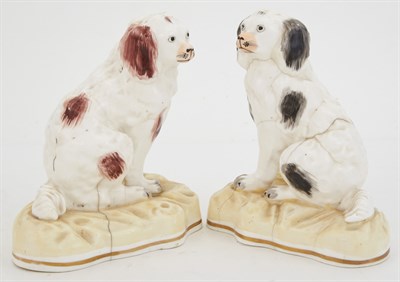 Lot 438 - Pair of Porcelain Figures of Seated Spaniels...