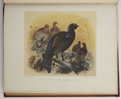 Lot 140 - MILLAIS, J.G. Game Birds and Shooting-Sketches....