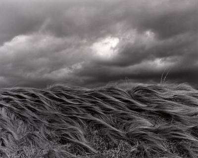 Lot 98 - KURITA, KOICHIRO (b. 1943) Dark Cloud, October...
