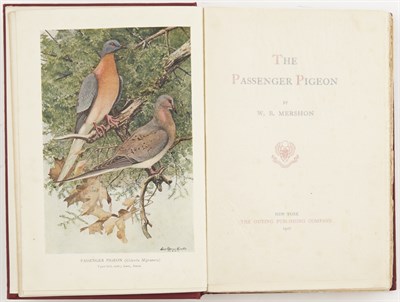 Lot 137 - MERSHON, W.B. The Passenger Pigeon. New York:...