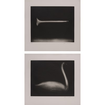 Lot 2108 - Joe Andoe (b. 1955) HORN; SWAN Aquatints, 1992,...