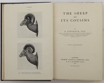 Lot 129 - LYDEKKER, R.[ICHARD] The Sheep and Its Cousins....