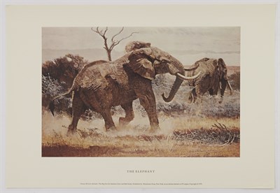 Lot 65 - DYER, ANTHONY Classic African Animals. The Big...