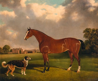 Lot 137 - Edward May Fox British, 19th Century Horse and...