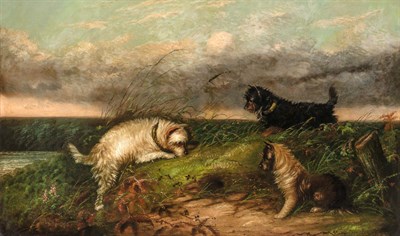 Lot 142 - Edward Armfield British, 1817-1896 Terriers...