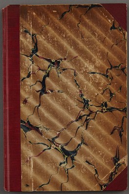 Lot 173 - PAULI, FREDERICK G. A Record of a Trip through...