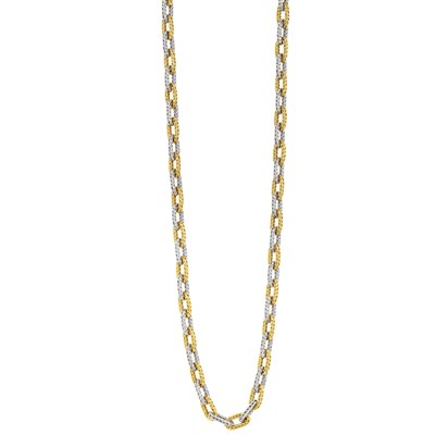 Lot 353 - Long Two-Color Gold Link Necklace