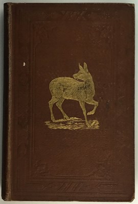Lot 263 - [WILSON, W., ed.] A Summer Ramble in the...