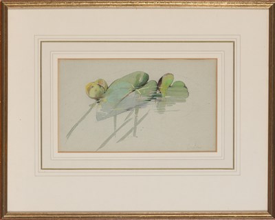 Lot 60 - Edward Lear British, 1812-1888 Study of a...
