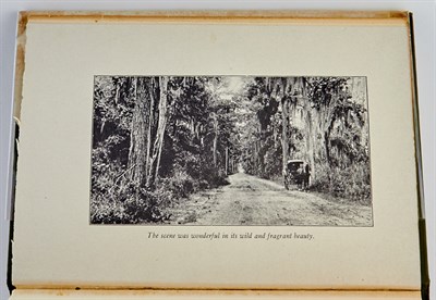 Lot 203 - RUTLEDGE, ARCHIBALD Days off in Dixie. Garden...