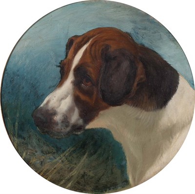 Lot 117 - George Earl British, 1824-1908 Head of "Gainer"...