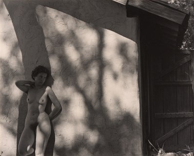 Lot 132 - WESTON, EDWARD (1886-1958) Nude, [negative]...