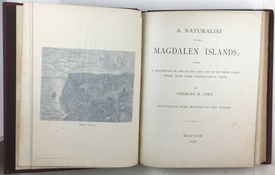 Lot 58 - CORY, CHARLES B. A Naturalist in the Magdalen...