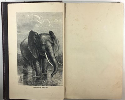 Lot 8 - ANDERSSON, CHARLES JOHN The Okavango River: A...