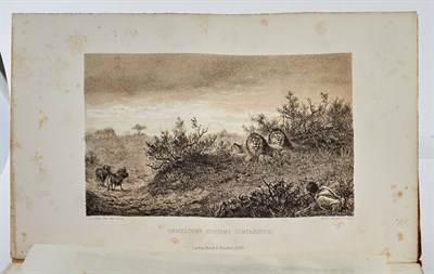Lot 10 - ANDERSSON, CHARLES JOHN Lake Ngami; or,...