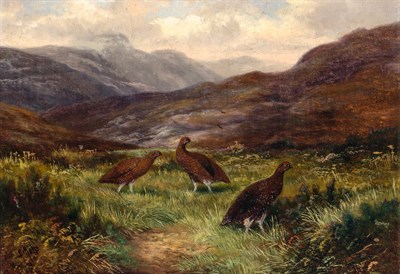 Lot 3 - Ben L. Hold British, 1839-1917 Grouse in a...
