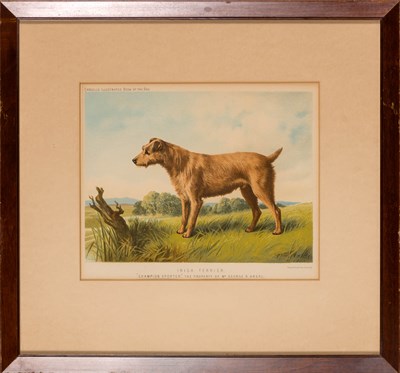 Lot 60 - Vincent, Brooks, Day & Son, lithographers BULL...
