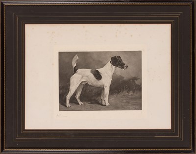 Lot 26 - After John Emms (1843-1912) [SMOOTH FOX...