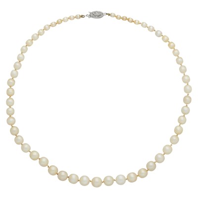 Lot 371 - Graduated Natural Pearl Necklace