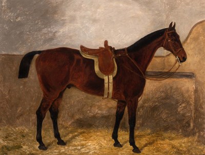 Lot 116 - British School 19th Century Horse in a Stable...