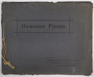 Lot 184 - [JORDAN, DAVID STARR] Hawaiian Fishes....