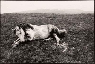 Lot 54 - DAVIDSON, BRUCE (b. 1933) [Horse, Wales, from...