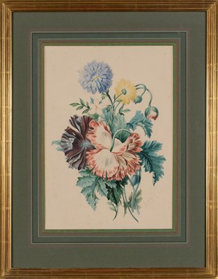 Lot 93 - Artist Unknown [BUTTERFLY STUDIES] Two...