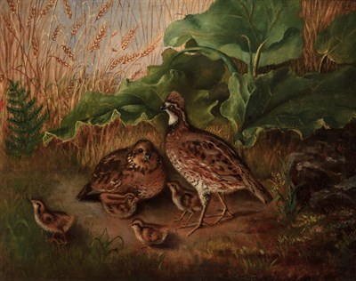 Lot 50 - Mary Jane Peale American, 1827-1902 Partridge...