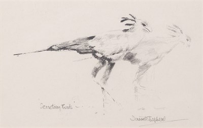 Lot 1077 - David Shepherd British, b. 1931 Secretary Bird...