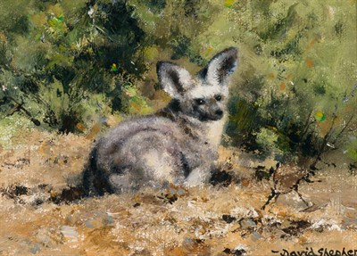 Lot 2120 - David Shepherd British, 1931-2017 Bat Eared...