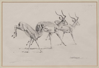 Lot 1076 - David Shepherd British, b. 1931 Impala Running...