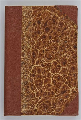 Lot 393 - WINDHAM, W.G. Up among the Arabs in 1860; or,...