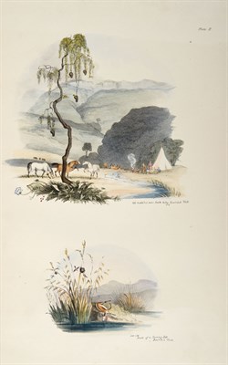 Lot 170 - [AFRICA] BUTLER, H.[ENRY]. South African...