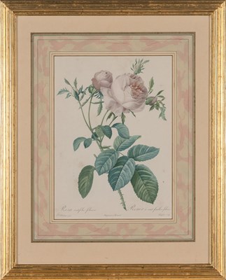 Lot 98 - After Pierre-Joseph Redouté (1759-1840) [ROSE...