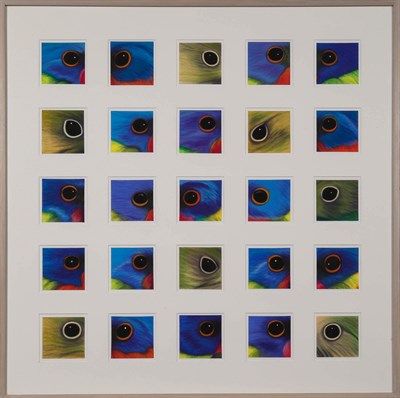 Lot 1070 - Paul Plante American, b. 1943 Painted Bunting,...
